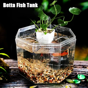 Настольный аквариум Betta с четырьмя сетками, Акриловая Изолирующая коробка, Декоративный мини-аквариум для разведения рыбы, Кассовое украшение